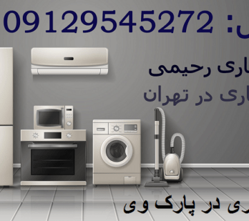 سمساری در پارک وی